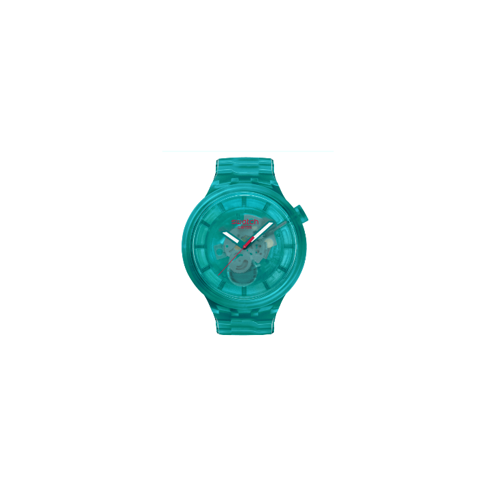 copy of SWATCH